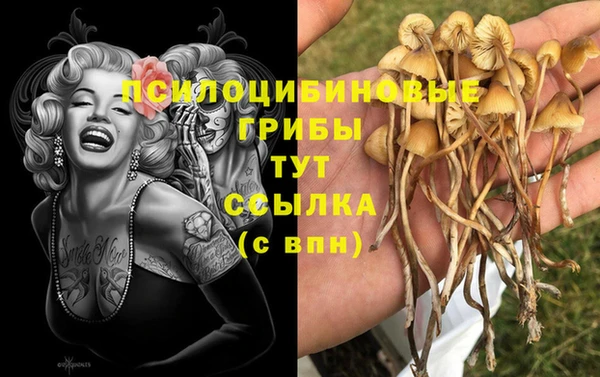 винт Тайга