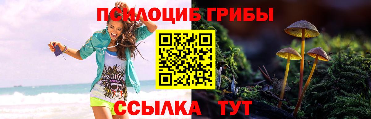 Галлюциногенные грибы мухоморы Верхняя Салда